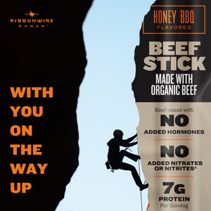 Honey BBQ Organic Beef Sticks